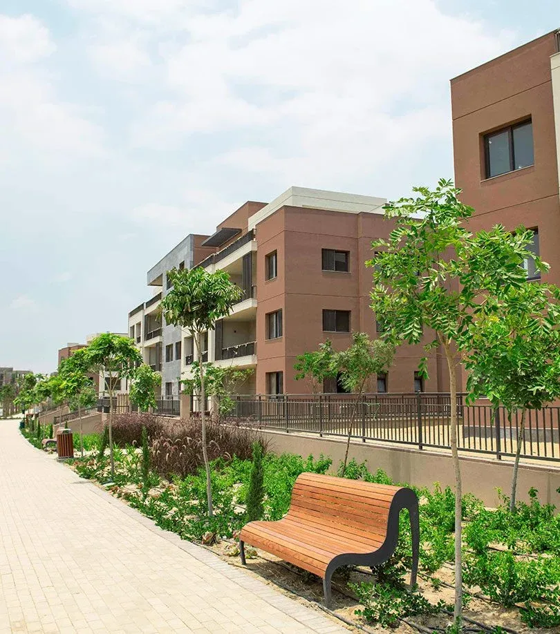 Tree-lined walkway and wooden bench beside the buildings at District 5, New Cairo